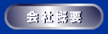 ЊTv